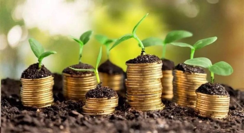 Зростання капітальних інвестицій в Україні в січні-червні 2025 року сповільнилося до 30,6%