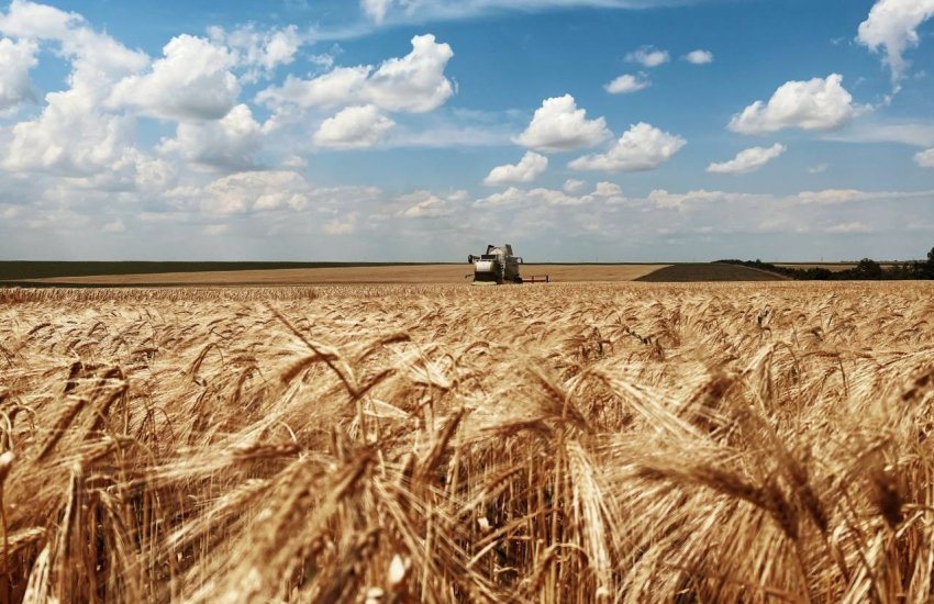 Єгипет майже подвоїв закупівлі української пшениці, інші імпортери знизили обсяги